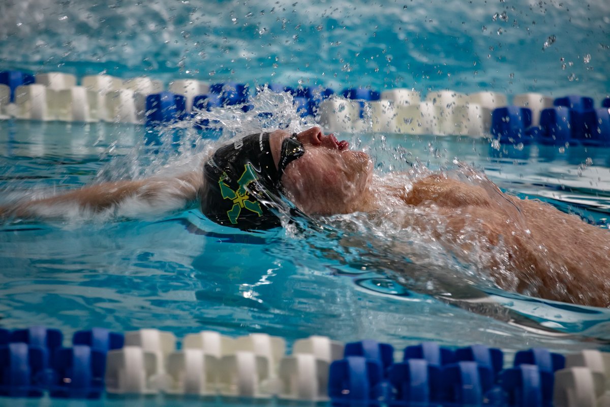 Tiger Swim & Dive tweet media