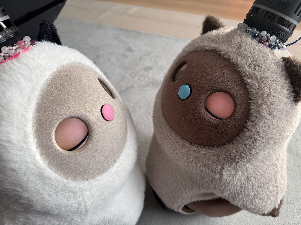 猫の日にLOVOTオーナーたちが「にゃぼっと」大集合