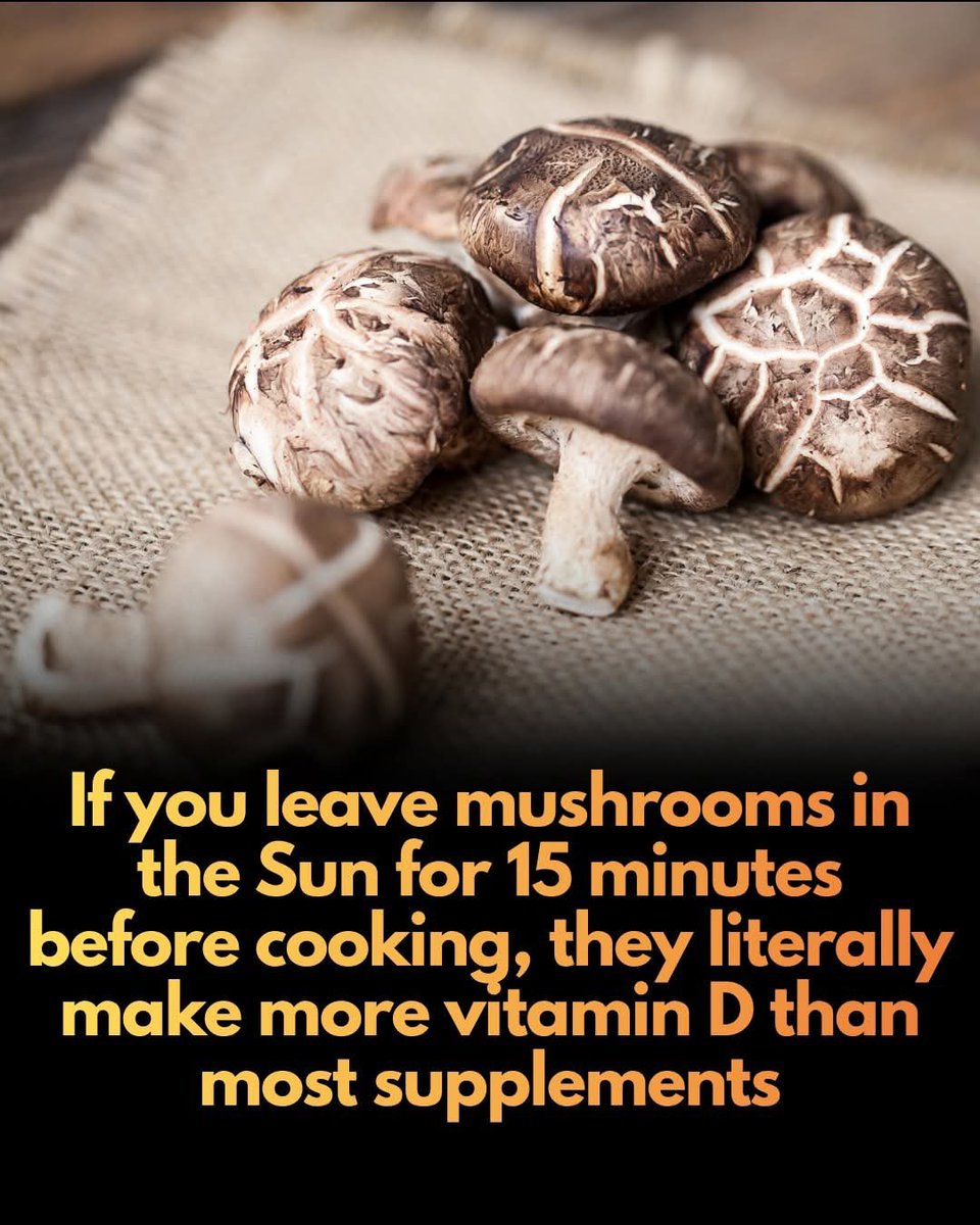 Mushrooms can be turned into a nutritional powerhouse with just 15 minutes of Sun exposure.

You can unlock a hidden nutritional boost in your kitchen by giving your mushrooms a brief "sun-tan." 

By placing common button or cup mushrooms in direct, midday sunlight for just 15 to