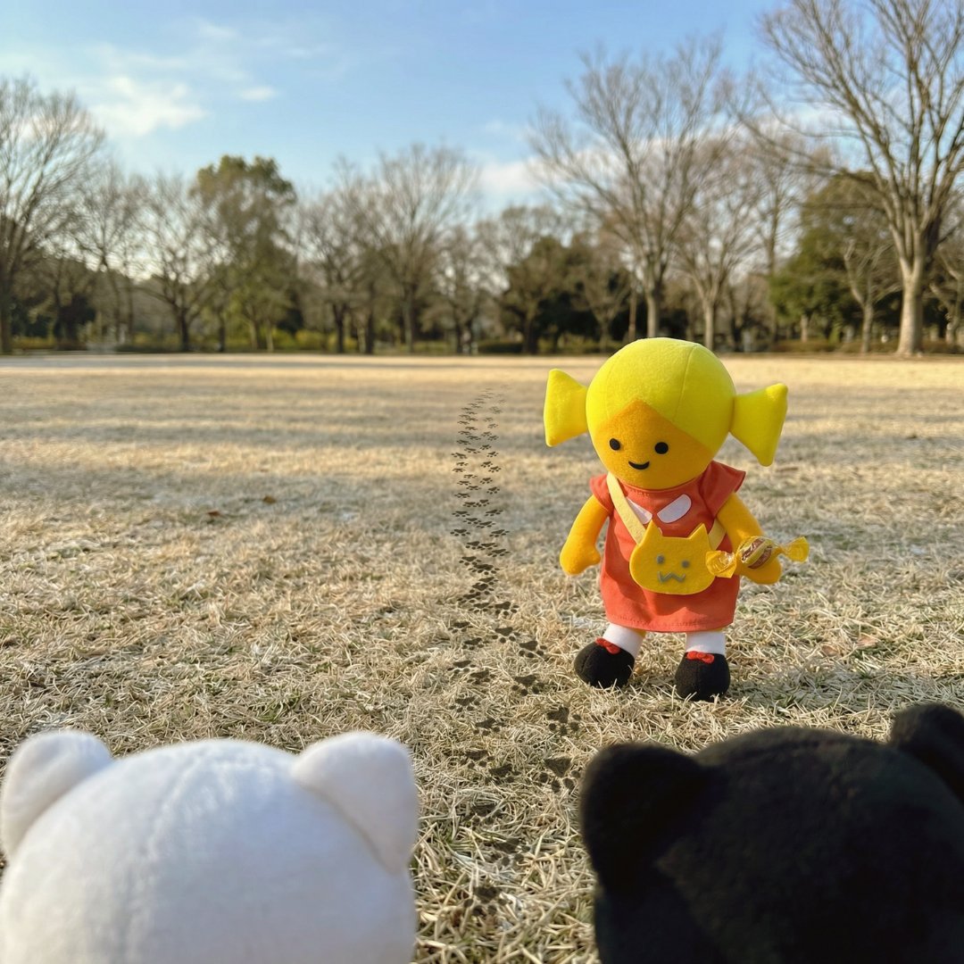 なんとクロネコ・シロネコ(@yamato_19191129) に会えました！✨ お菓子