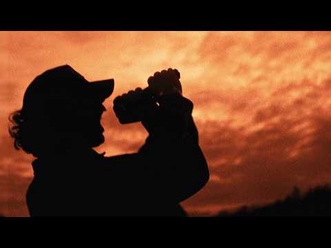 Distorted Sound tweet media