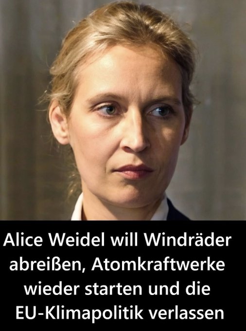 Michael Rolf tweet media