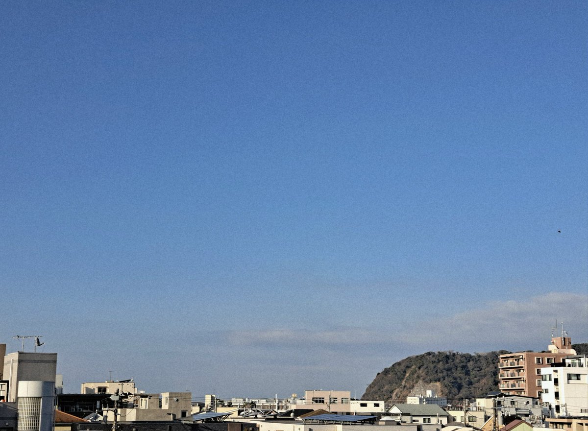 おはようございます✨️
日曜日 #逗子 は晴れ☀
日差しが暖かくなって来ましたよ😊
今日もお出かけ日和ですね！
お休みの方もお仕事の方もどうぞ良い一日をお過ごし下さい🤗
それでは本日も11時開店です🎊
#イマソラ
