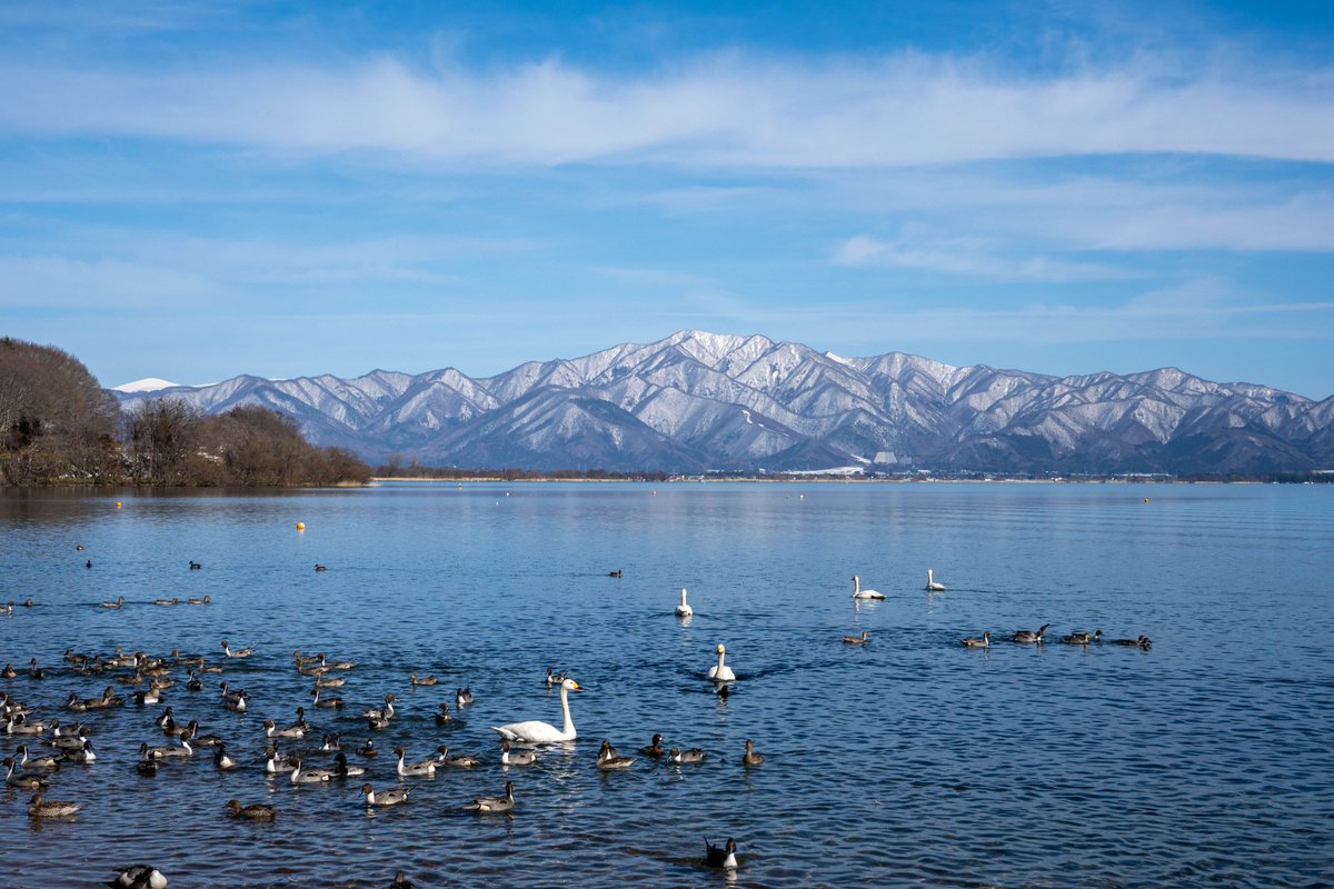 カリンさん tweet media