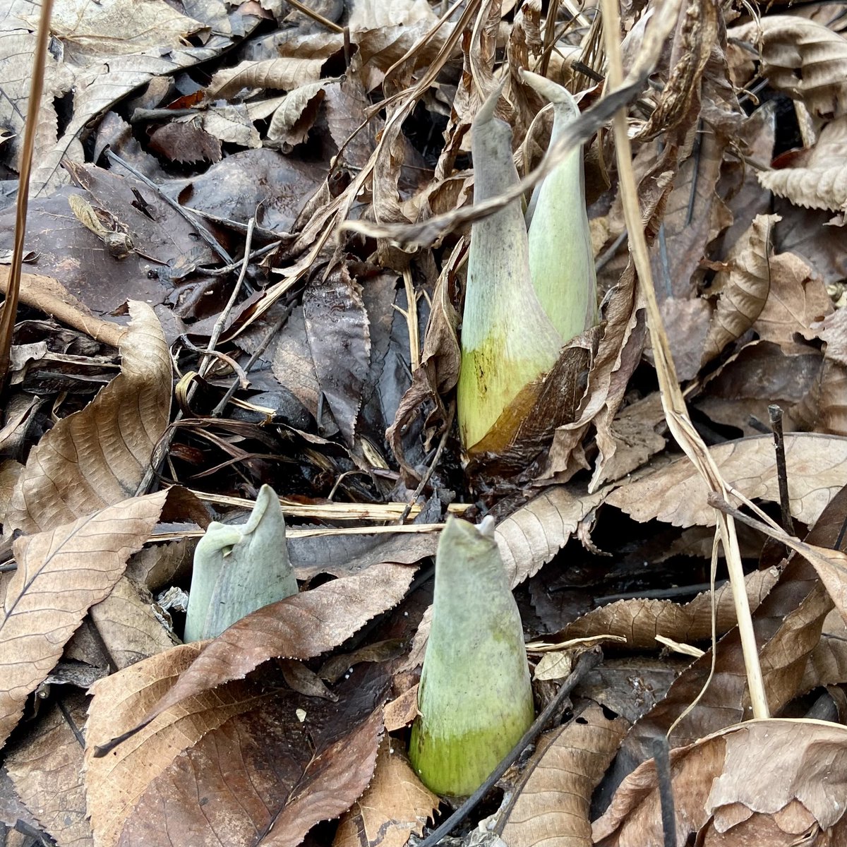 Nate Eppink tweet media