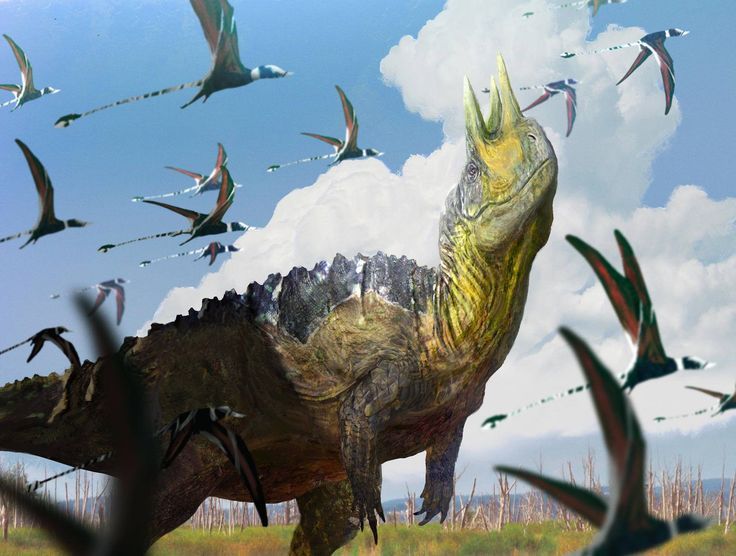 Paleodato del día 🦖: Transición J/K ( Renovación faunística del Jurásico tardío a Cretácico temprano) fue un evento que antiguamente se le consideraba una extinción masiva ( hoy en día se sabe que no fue así), más bien fueron una serie de eventos producidos en corto plazo que +