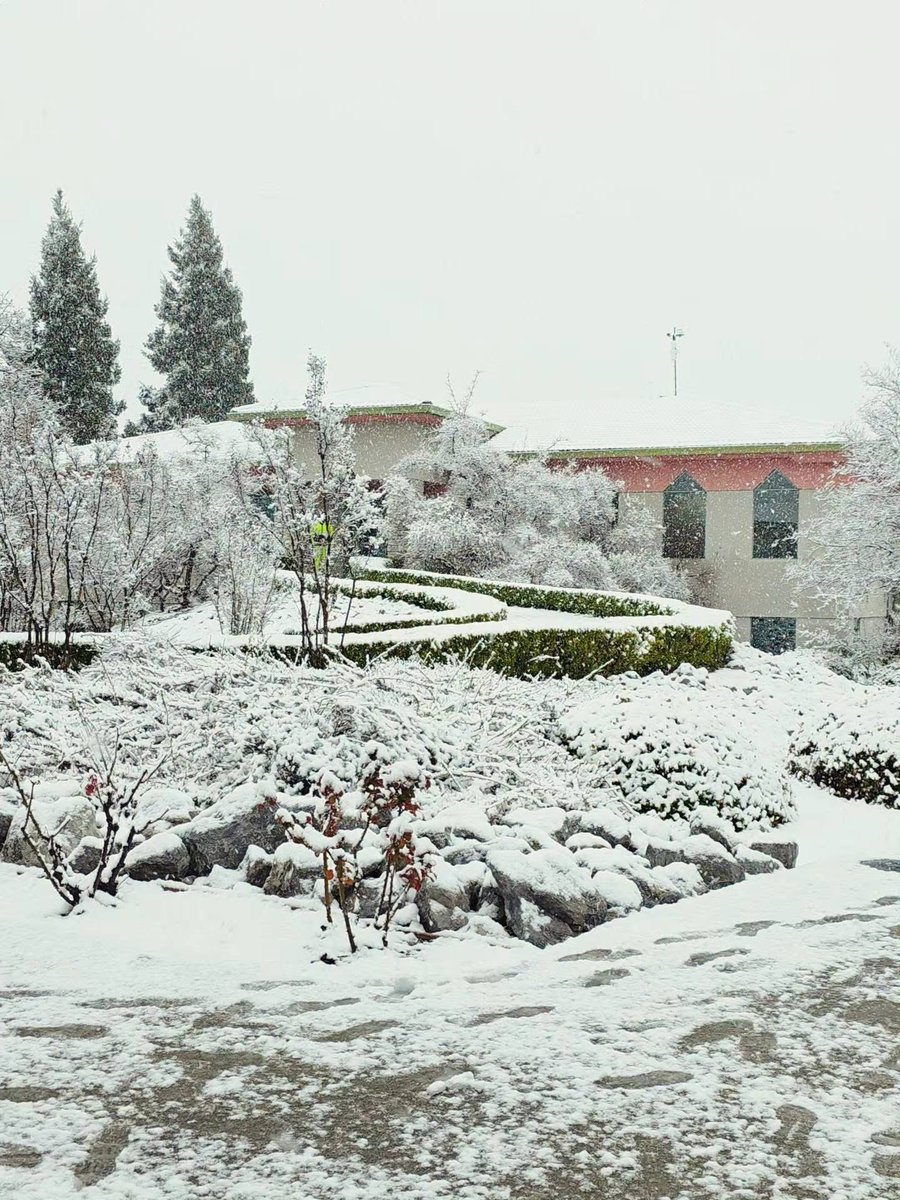 Simpson Red Hawks Football tweet media