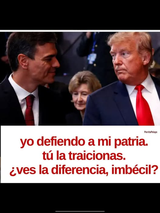 PEPE, en Español (@pepeluspain) on Twitter photo 