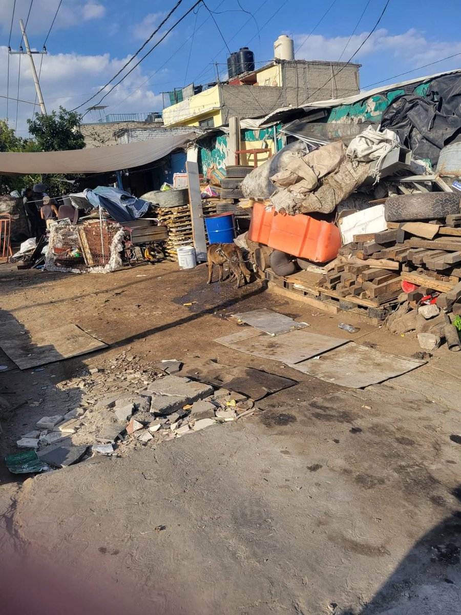 RealidadNaucal2's tweet photo. 🚨 ⚠️ 🐕 Vecinos de Lomas de San Agustin en #Naucalpan, piden a autoridades rescatar perritos amarrados y en malas condiciones.

Hace algunas semanas, un vecino decidió solicitar a los propietarios entregaran los perritos, y el se encargaría de conseguirles un hogar. https://t.co/vsBalj1aRD