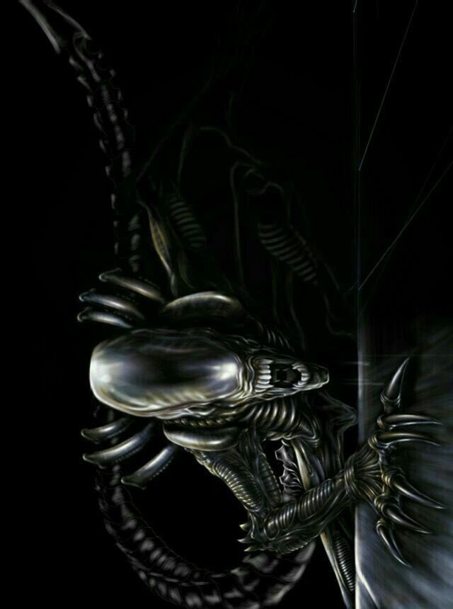 Alien vs Predator official (@avpofficial_sol) on Twitter photo 