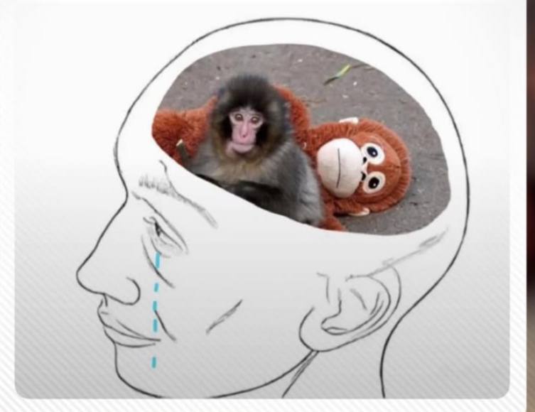 Selene  🖤Perfectly imperfect 🖤 tweet media