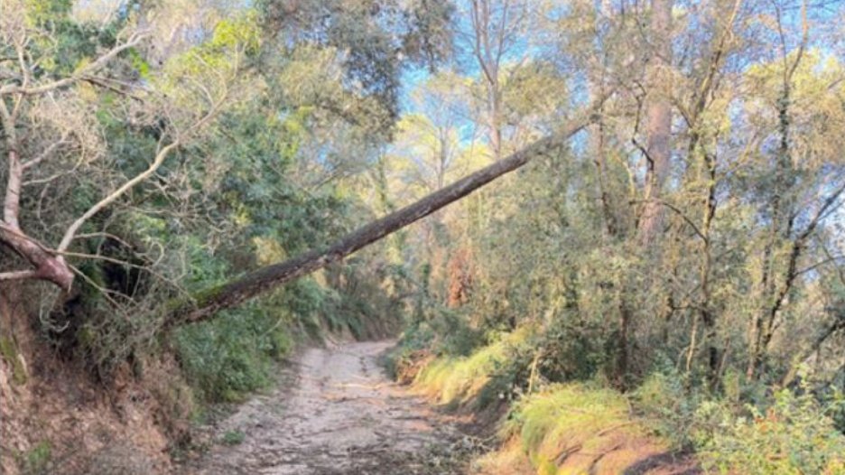 ADF Serra de Marina tweet media