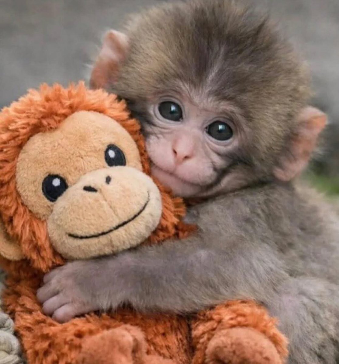 Hepimiz topladık hüznümüzü:
Yükledik “ Punch “a❤️‍🩹
Biriktirdiğimiz her şeyi  
Ona…
 Üzüldük
#iyiaksamlar #cumartesi
 #ceyhunyilmaz