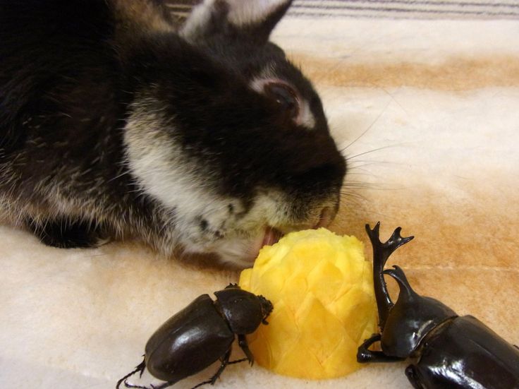 me and that one tall asf friends we all fuck with