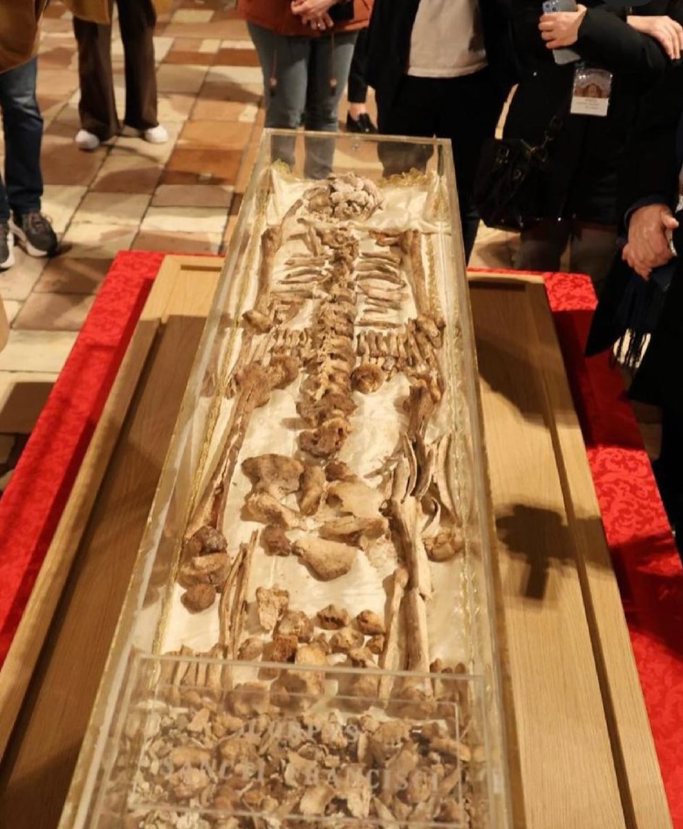 Sachin Jose tweet media