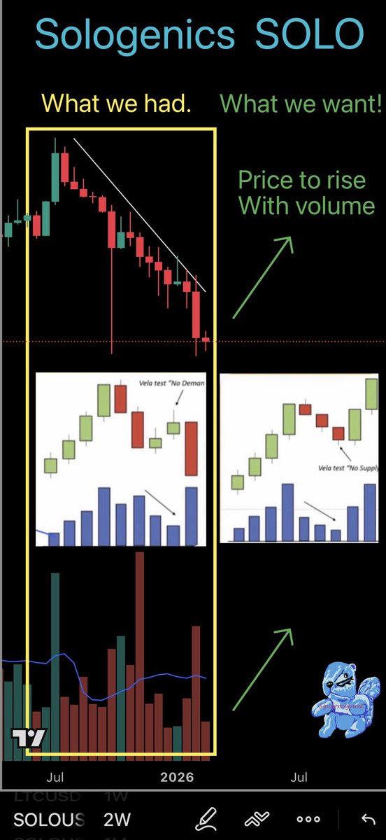 Squirrelynest🇺🇸 tweet media