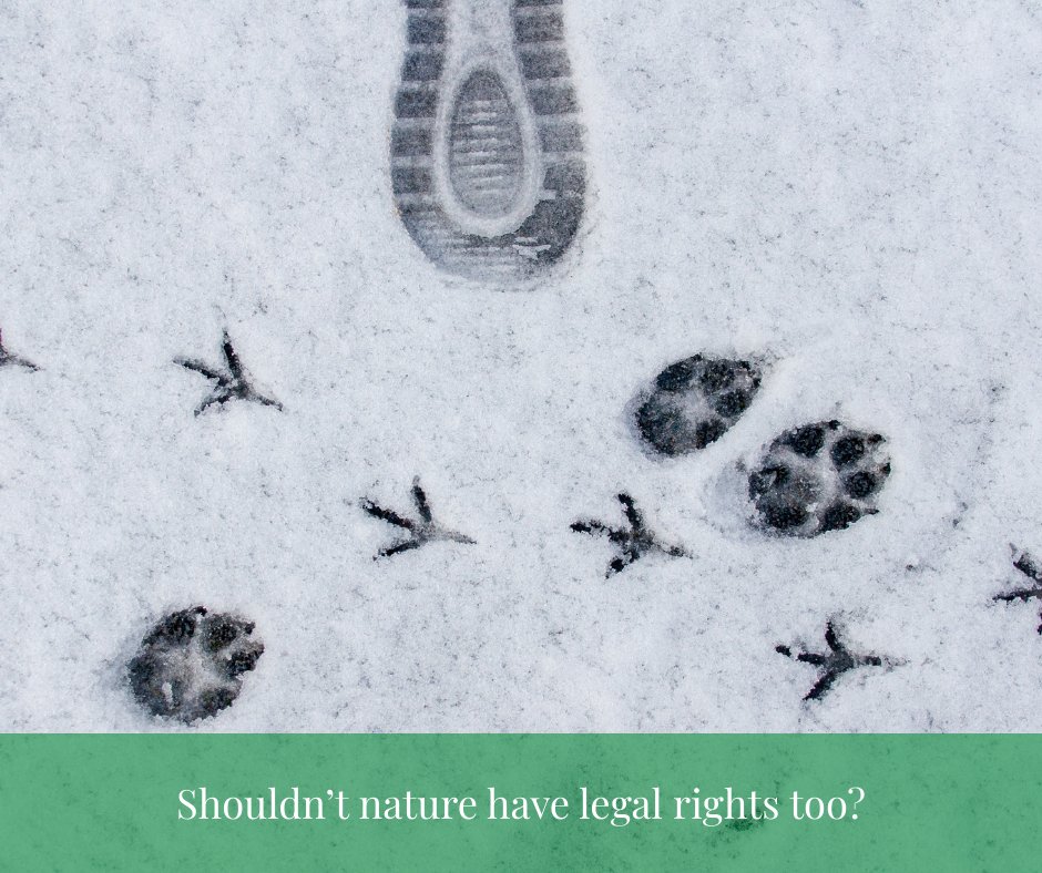 Nature Canada tweet media