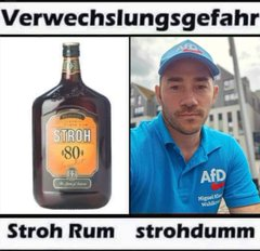 AFD = Arschlochpartei für Deppen und Landesverräter!