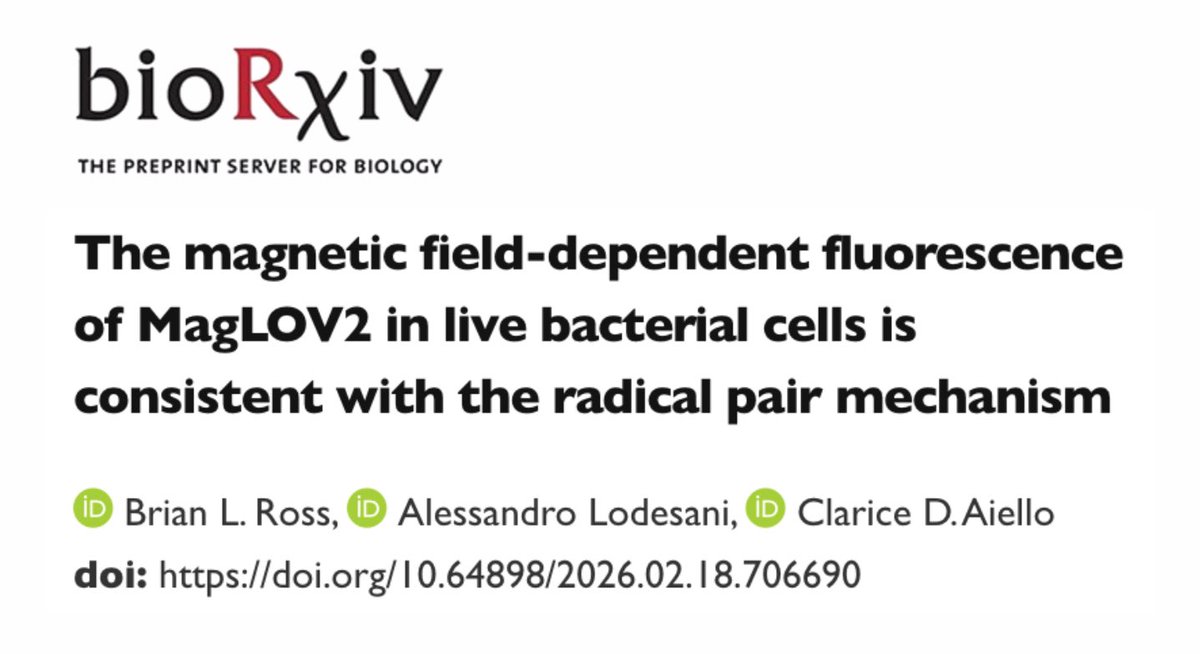 QuantumBioDAO's tweet photo. The Quantum Biology Institute has published its first micropublication! 

Check it out: https://t.co/55zhP7mXl9

To the first of many! Details below ⬇️ https://t.co/e3kXLe8bbi