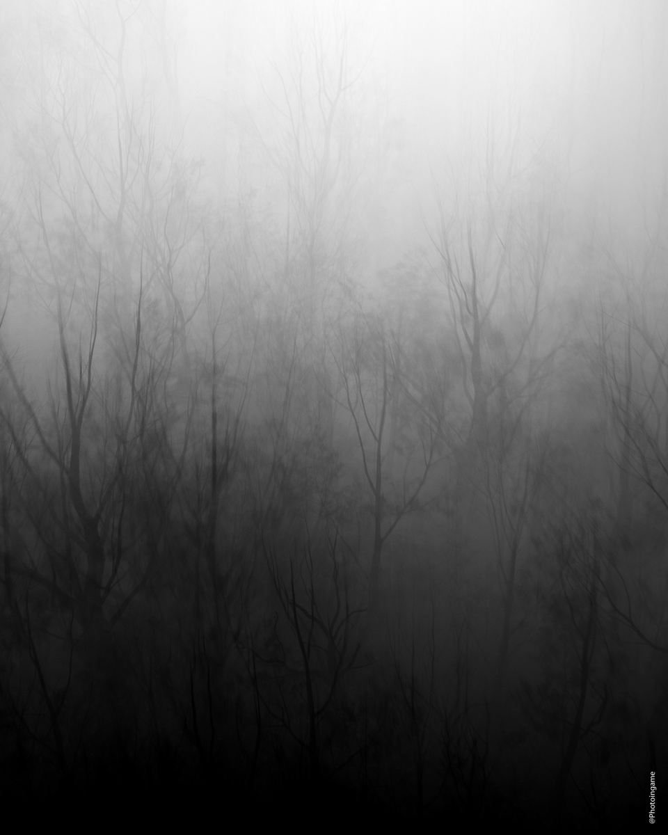 Photoingame's tweet photo. Ghost of Yotei https://t.co/uZfiSMi8np