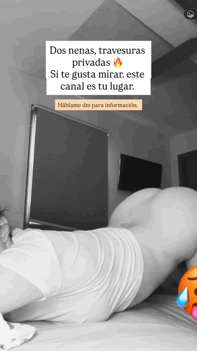 tosti𝕏 tweet media