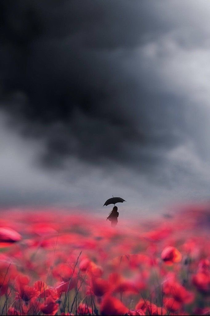 Sahiden de kırıldığı her noktada beceriksizce kaynamışa benziyor. 
Aşk böyle bir şey, diye düşünüyor, dağınıklıkları topluyor, kırıklarını alıyor hayatın, çekidüzen veriyor, bir süreliğine de olsa. 
Nereden biliyor ki aşkın ne olduğunu? 
Yokluğundan!

Behçet Çelik