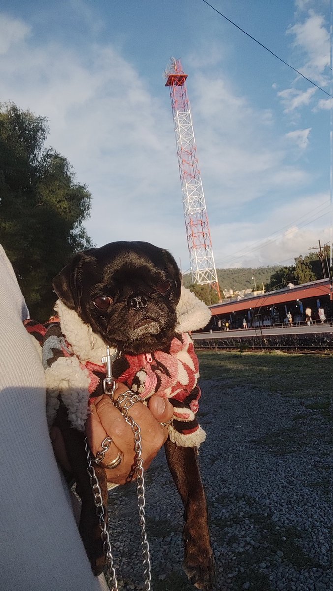 iamDonJP's tweet image. #AmorEterno e #Inolvidable
1313