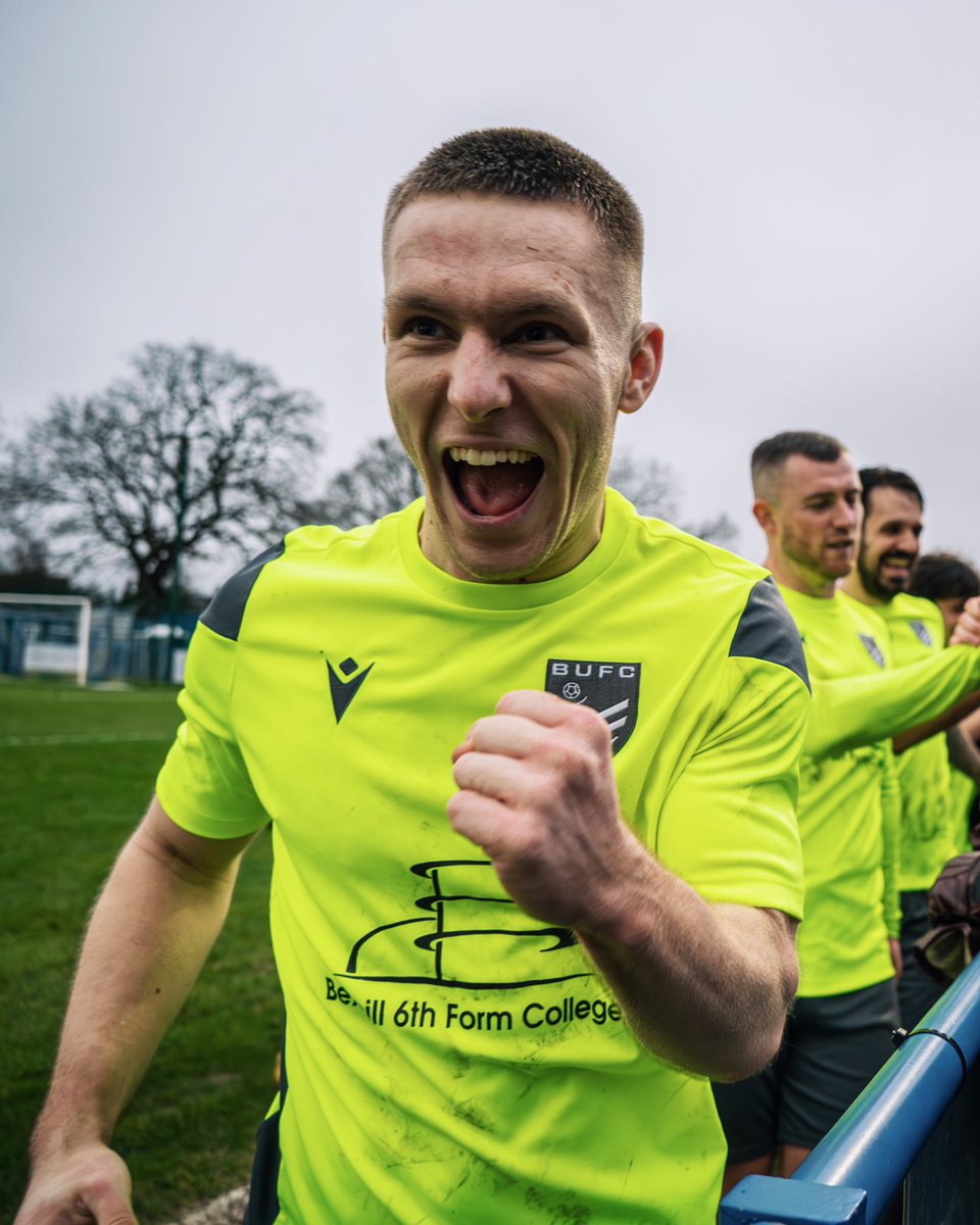 amymarshallcreative tweet media