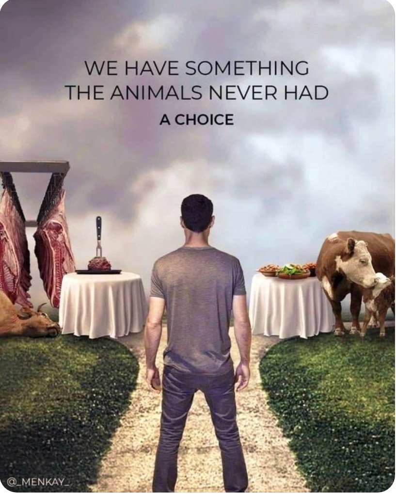 The Grim(m)est Truth tweet media
