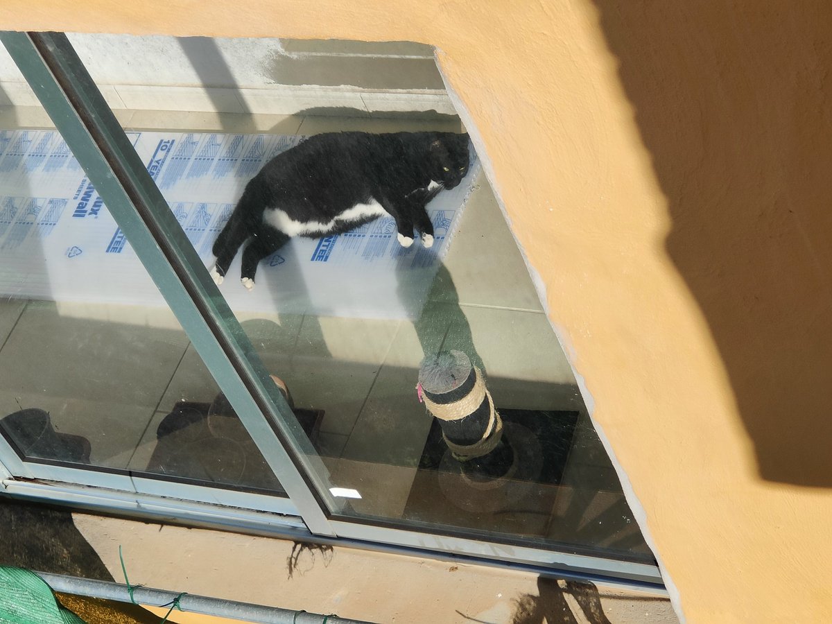 Se me coló.... habrá que cuidarlo tb