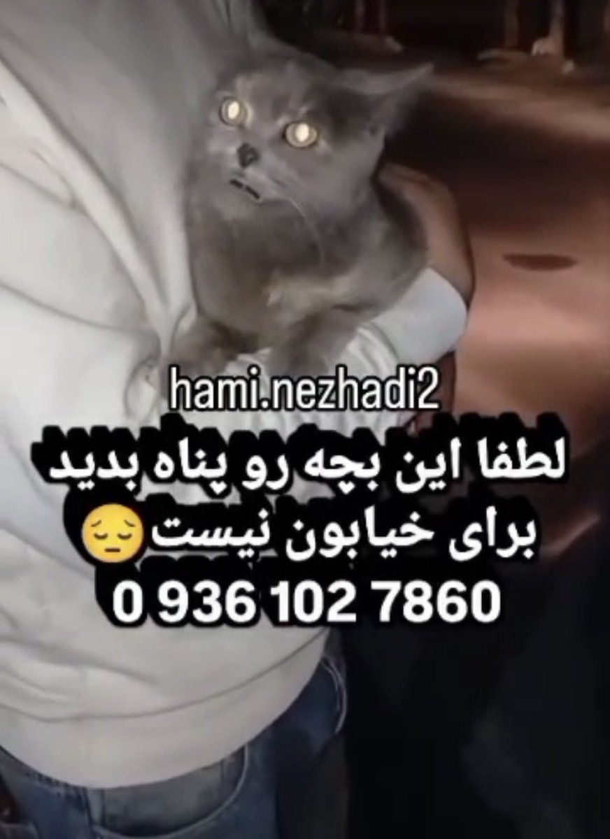 petkoo tweet media