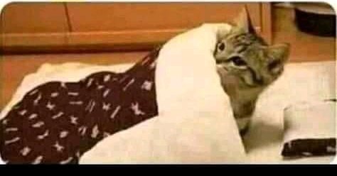 Scenes ukiwa umelala na dem alafu uone flashlight