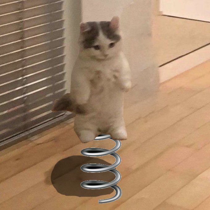 GMICHI ON A SATURDAY