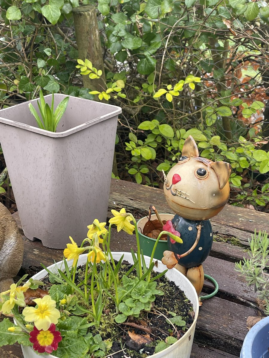 coral dinner tweet media