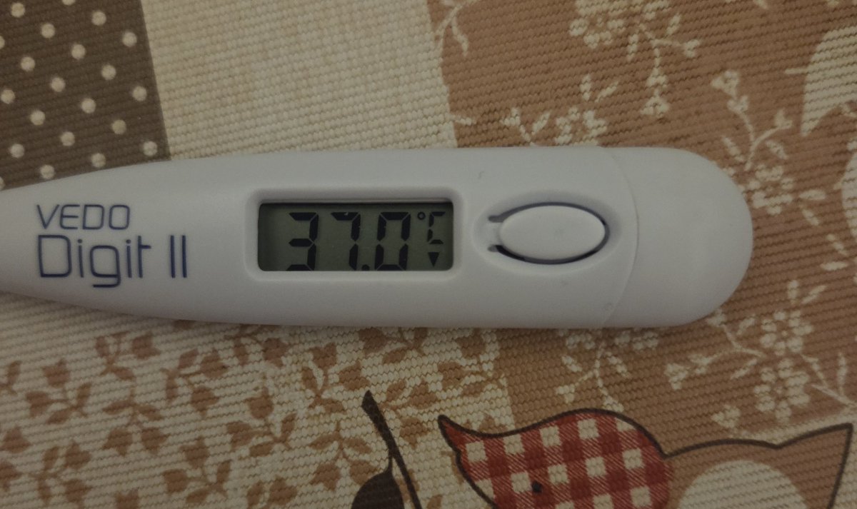 VolpeReal's tweet image. Tra poco in diretta Instagram le mie ultime volontà