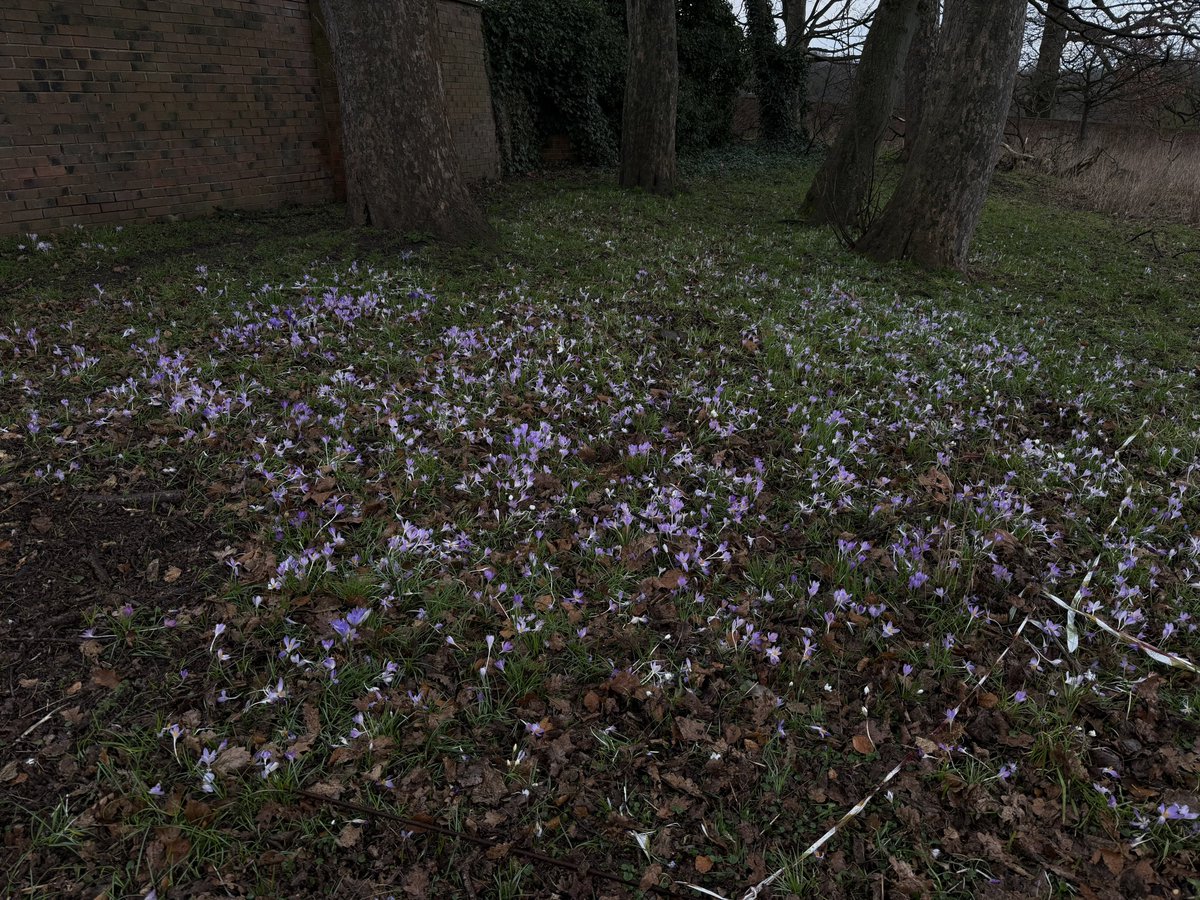 rly cool girl tweet media