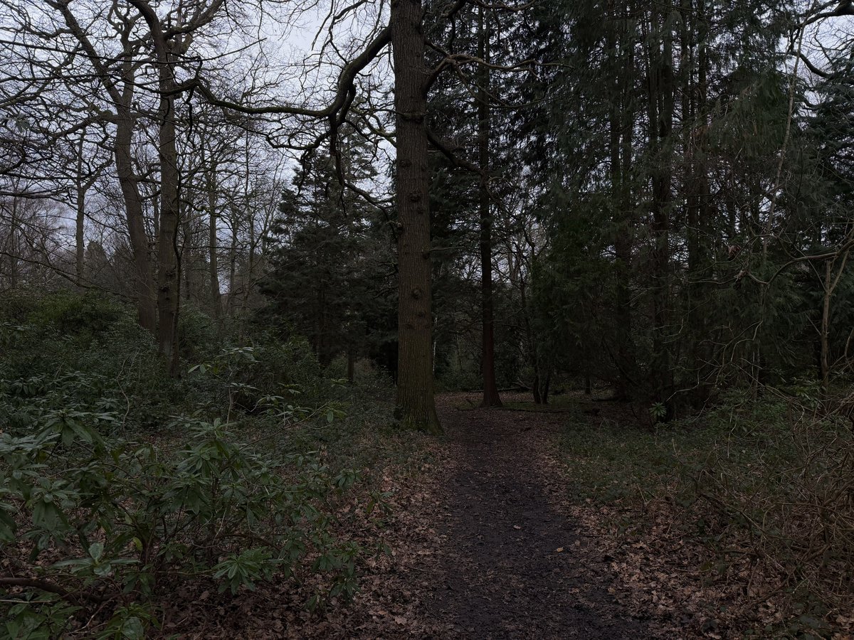 rly cool girl tweet media