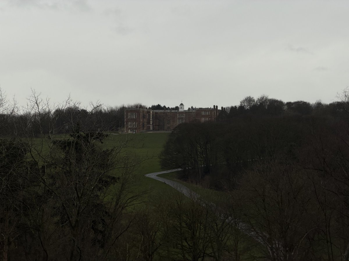 rly cool girl tweet media