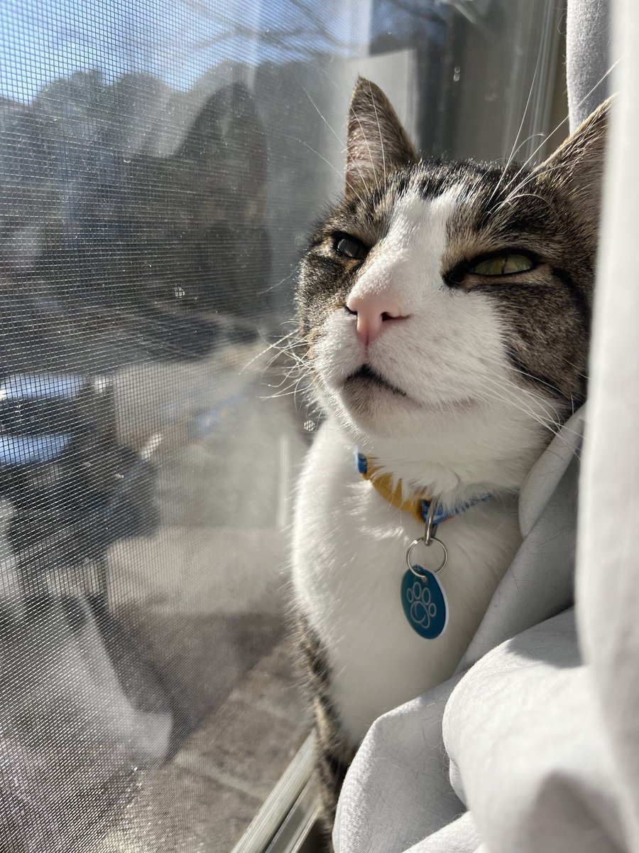 Ashley Connors tweet media