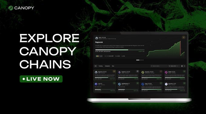 Real competitive advantage in 2026? Supply chain transparency.

The companies watching <a href="/CNPYNetwork/">Canopy</a> closely might be the ones ahead of the curve.

<a href="/CNPYNetwork/">Canopy</a>