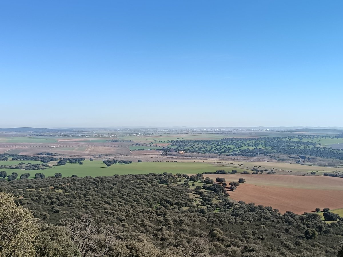 sobrino_antonio's tweet photo. Feliz noche para tod@s
#ComparteTusFotosDelDía
Hoy desde la Peña de #Picón
#CiudadRealProvincia 
@meteocr @ruideratreasure 
Por cierto, de este lugar (antigua cantera) se extrajo la piedra de varios edificios de Ciudad Real, las podéis ver en  Iglesia del Carmen, Mercedarios etc https://t.co/G05qH0RWHp