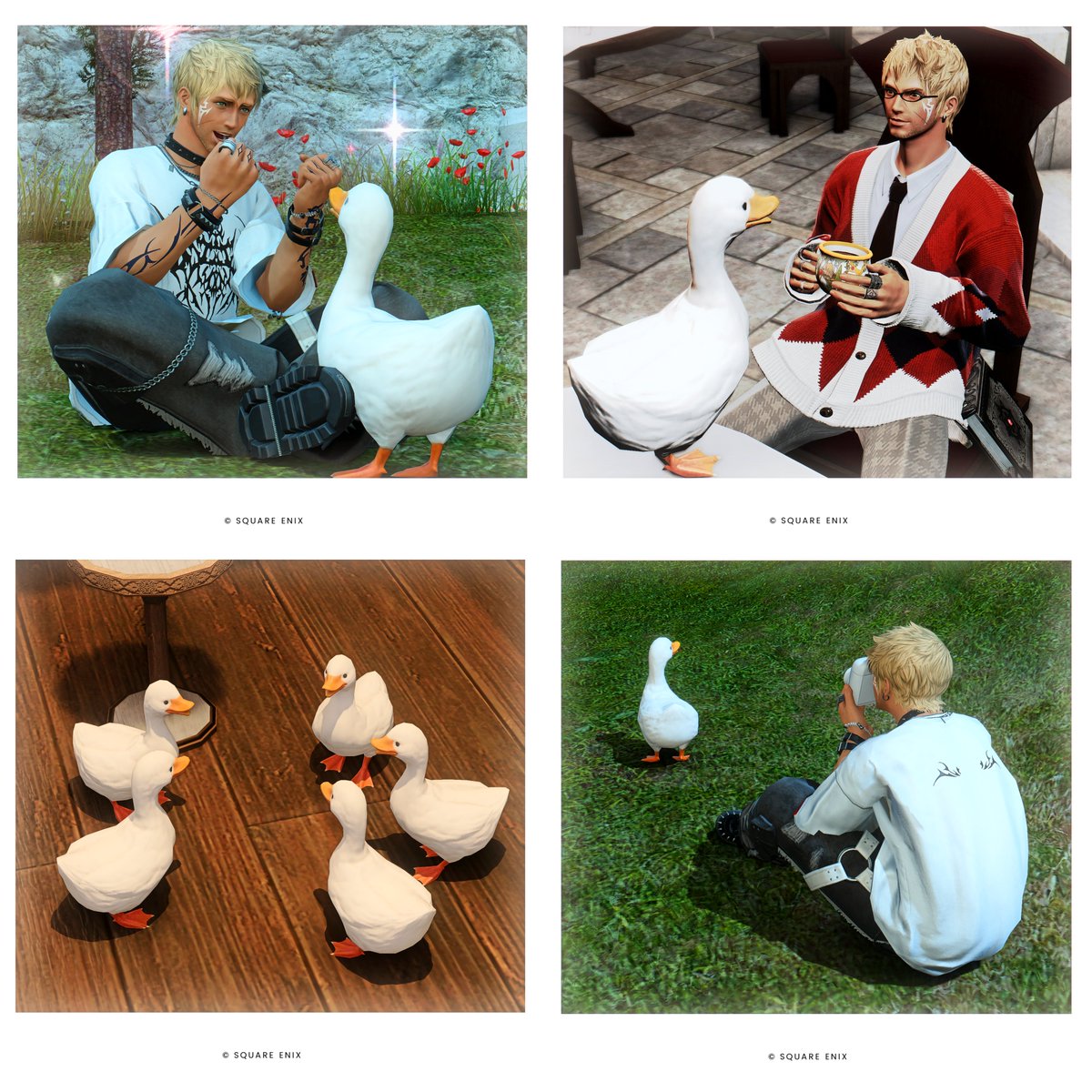 2月22日はアヒルちゃんの日🥰🪿🪿🪿🪿🪿🪿🪿