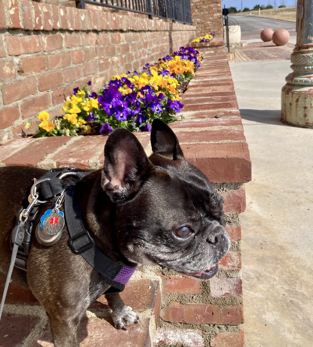 2019Pepper's tweet photo. Hangin’ out at #Bridgeway with Pop #yeahthatgreenville https://t.co/oxEN9d9hrc
