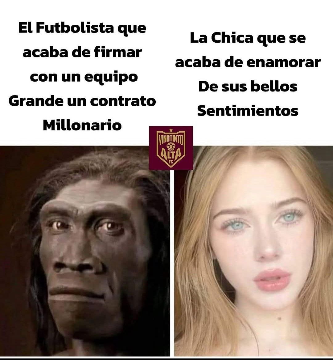 KAMEZU ⁂ tweet media