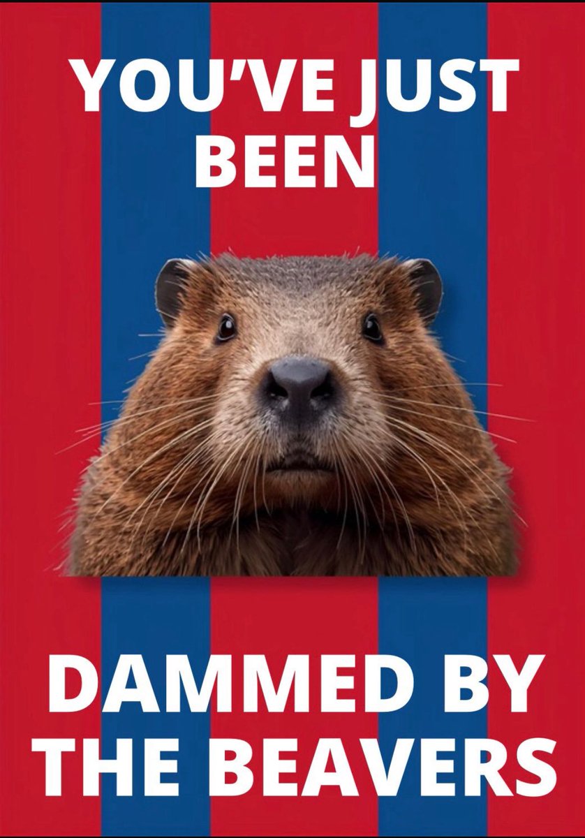 David Siveyer tweet media