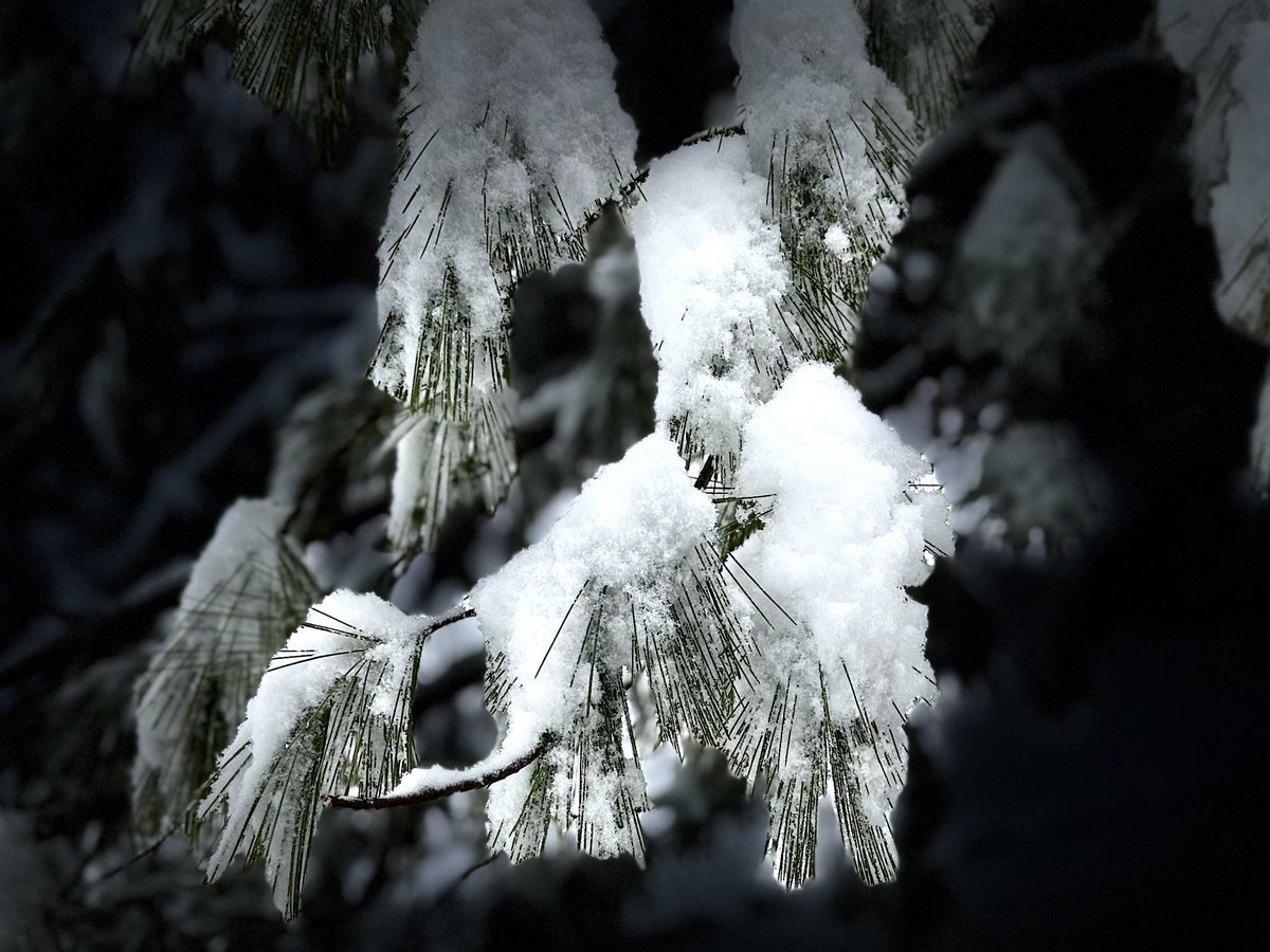 BryanMarquard's tweet image. I probably find these photos more interesting than anyone else. I admire snow. Some of us who grew up in northern New England are like that. #snow #Snowfall