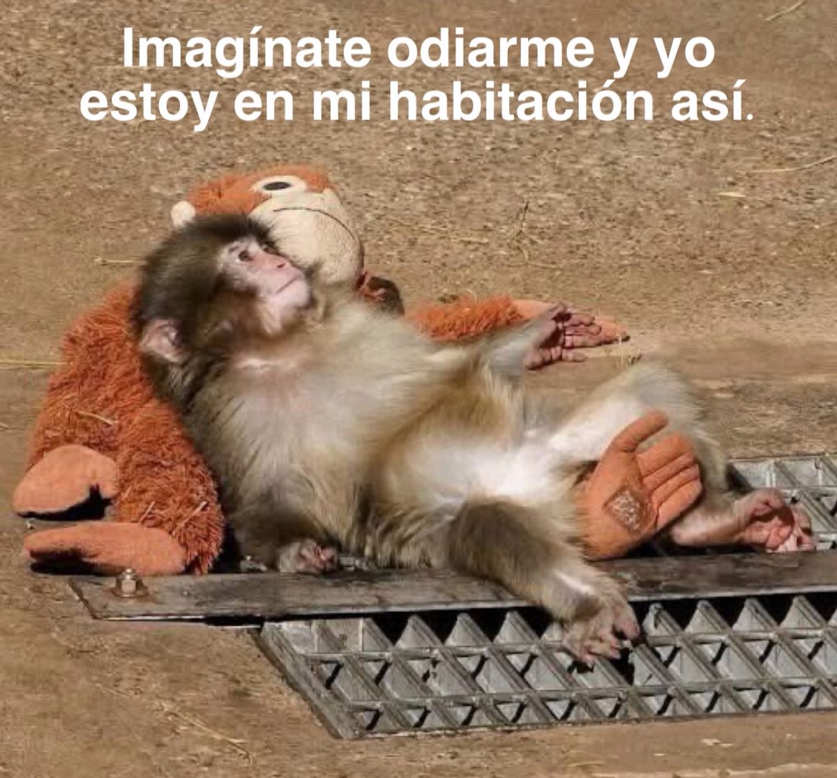 piña sin pizza tweet media