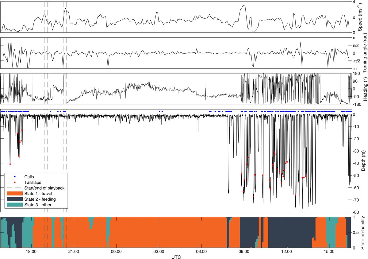SciReports's tweet photo. Aversive behavioural responses of killer whales to sounds of long-finned pilot whales https://t.co/oZJp03Dk8k https://t.co/siUsm5j9iQ
