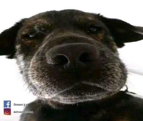 DecencyDaniel1's tweet image. Punters looking at their draw or win for Madrid 

#betting