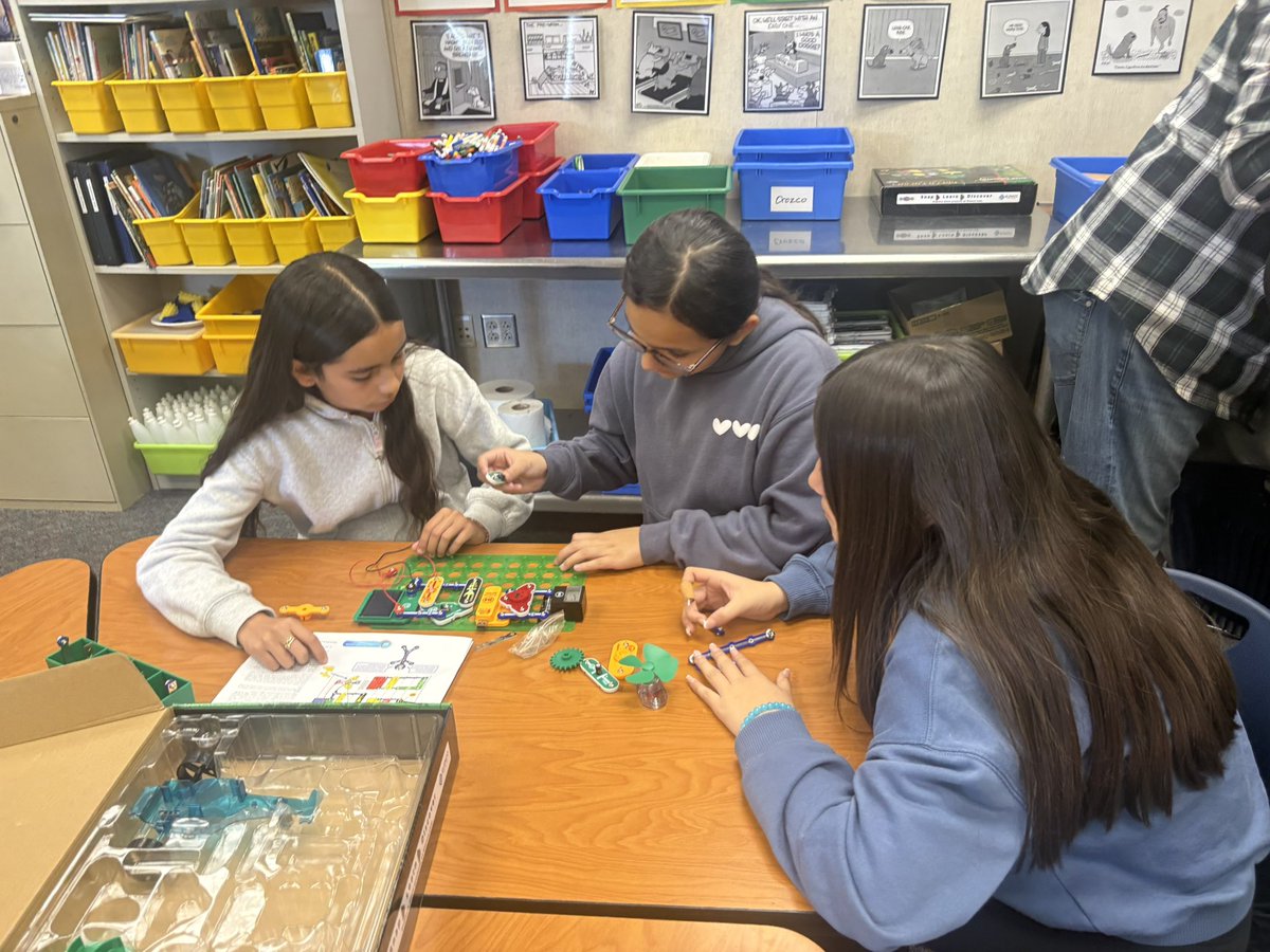 Berry_Bears1 tweet media